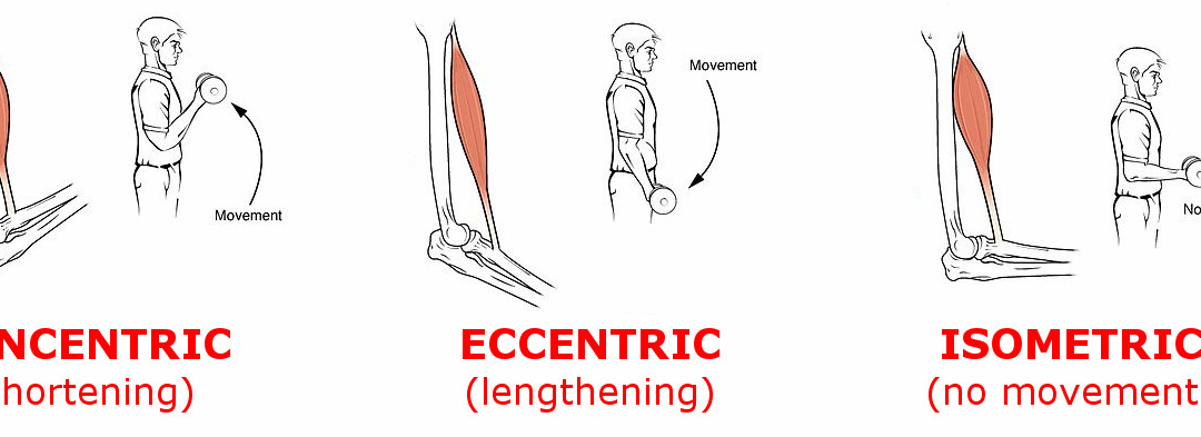 Eccentric and Concentric